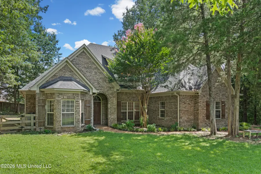 8019 Betty Browning Pass, Olive Branch, MS 38654 - #3