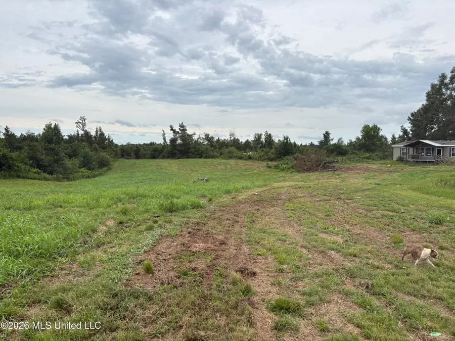 3690 SE Harmony Drive, Brookhaven, MS 39601 - #2