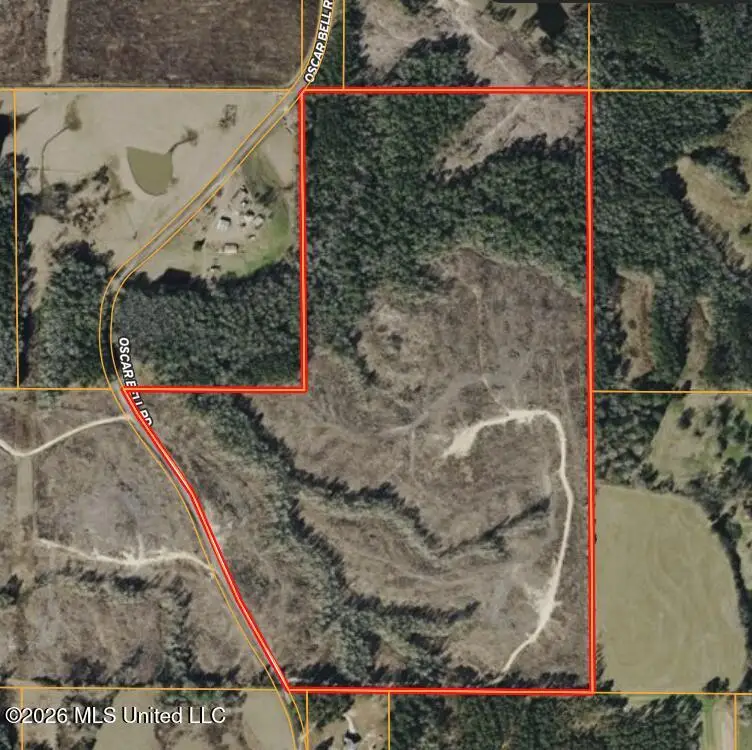 Oscar Bell Road, Waynesboro, MS 39367 - #1