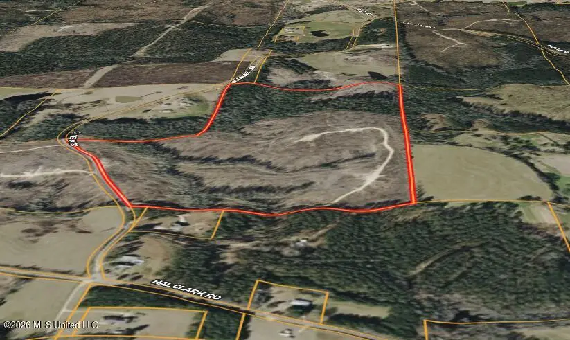 Oscar Bell Road, Waynesboro, MS 39367 - #3