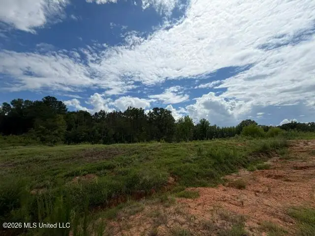 7 Taylor Nicole Road, Byhalia, MS 38611 - #1