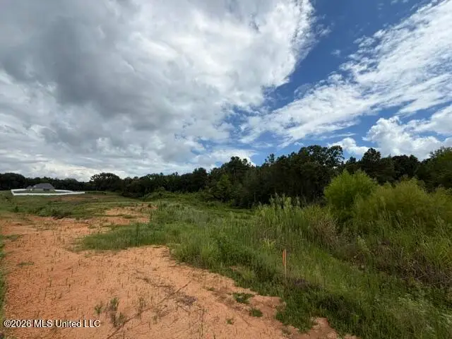 7 Taylor Nicole Road, Byhalia, MS 38611 - #2