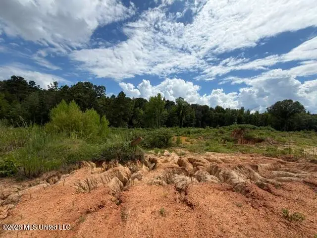 8 Taylor Nicole Road, Byhalia, MS 38611 - #3