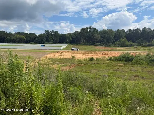 11 Taylor Nicole Road, Byhalia, MS 38611 - #1