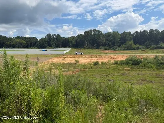 11 Taylor Nicole Road, Byhalia, MS 38611 - #2