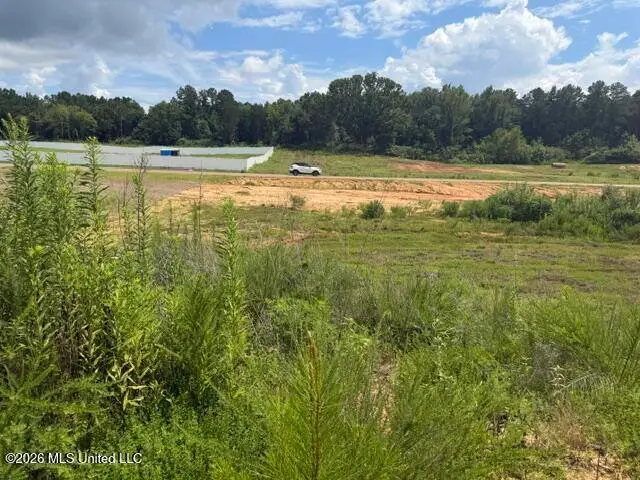 11 Taylor Nicole Road, Byhalia, MS 38611 - #3