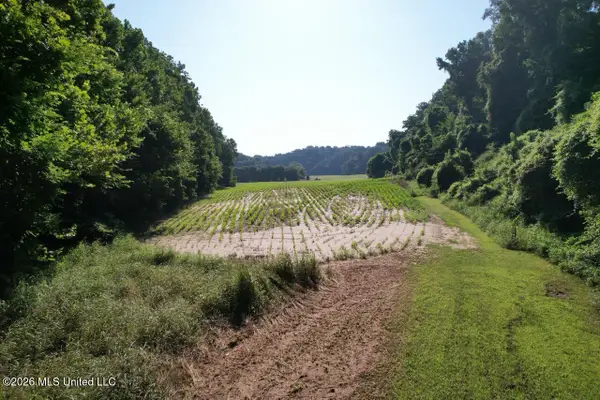 Annas Bottom Road, Natchez, MS 39120