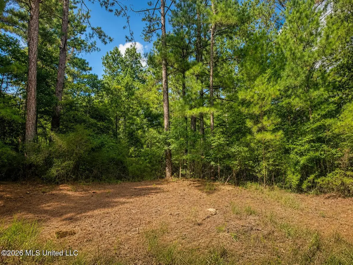 4.39 Acres Man Moulds Road, Lucedale, MS 39452 - #1