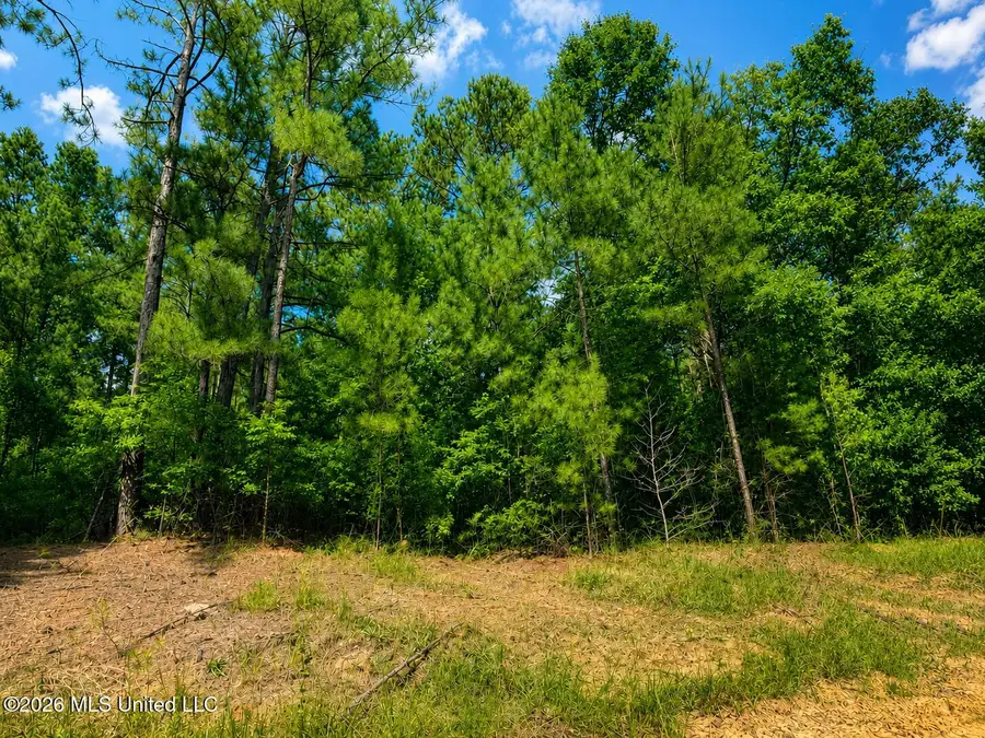4.39 Acres Man Moulds Road, Lucedale, MS 39452 - #3