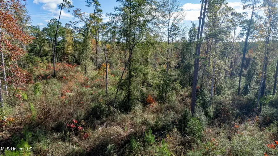 36.08 +/- Acres Placid Drive, Sumrall, MS 39482 - #3