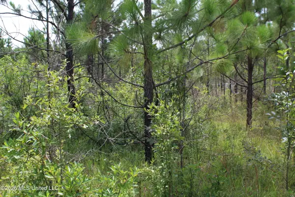 Agricola Latonia Road, Lucedale, MS 39452