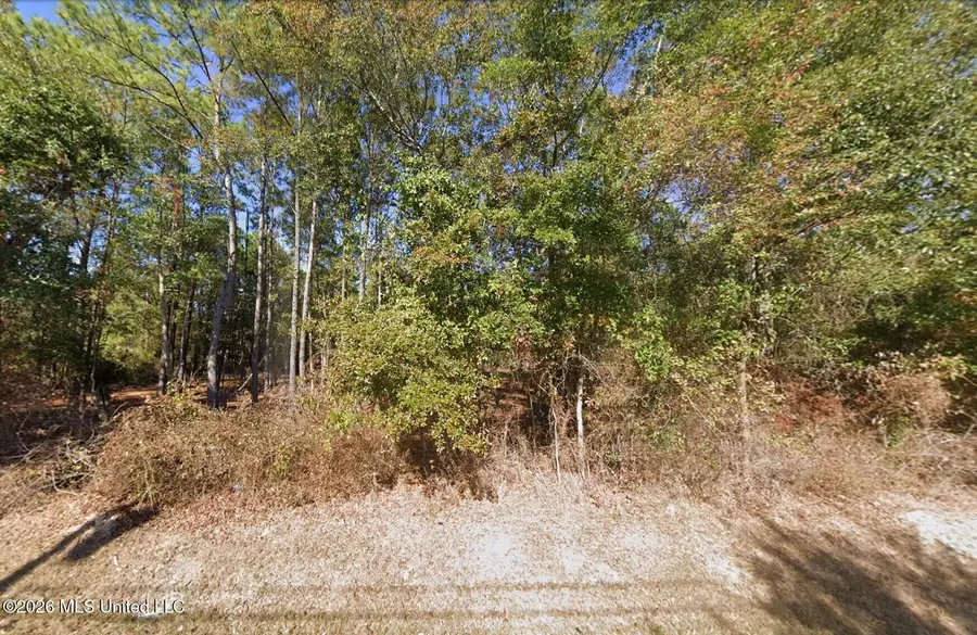 1110 Taranto Street, Waveland, MS 39576 - #2
