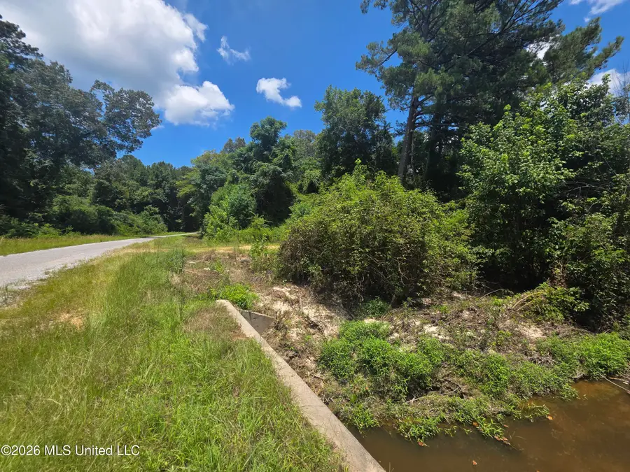 Scrd 538e, Morton, MS 39117 - #2