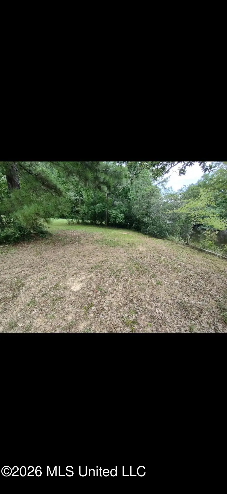 947 W Lakeshore Drive, Carriere, MS 39426 - #2