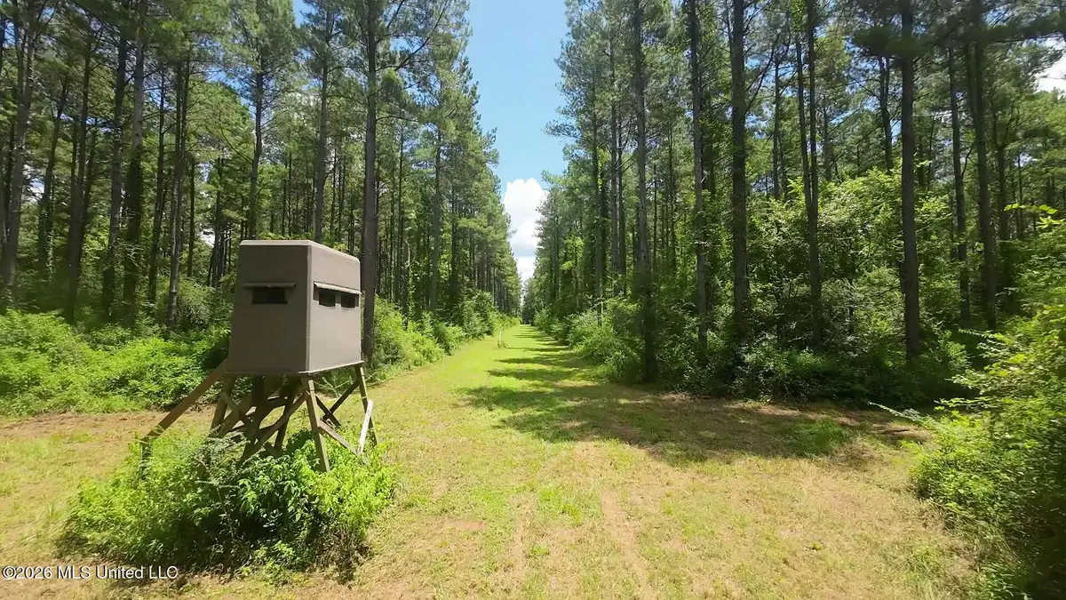 1026 Mt Olive Road, Mount Olive, MS 39119 - #1