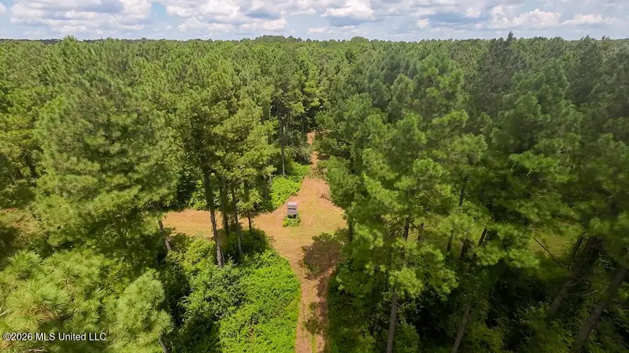 1026 Mt Olive Road, Mount Olive, MS 39119 - #2