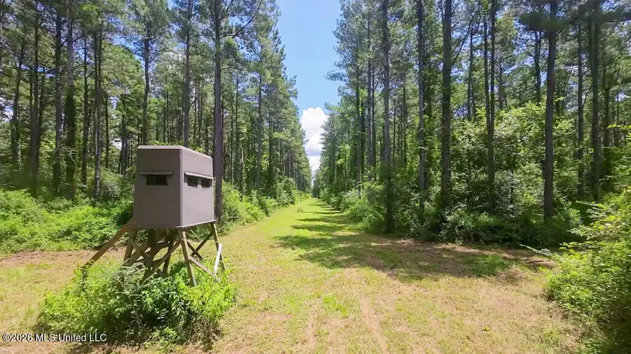 1026 Mt Olive Road, Mount Olive, MS 39119 - #3