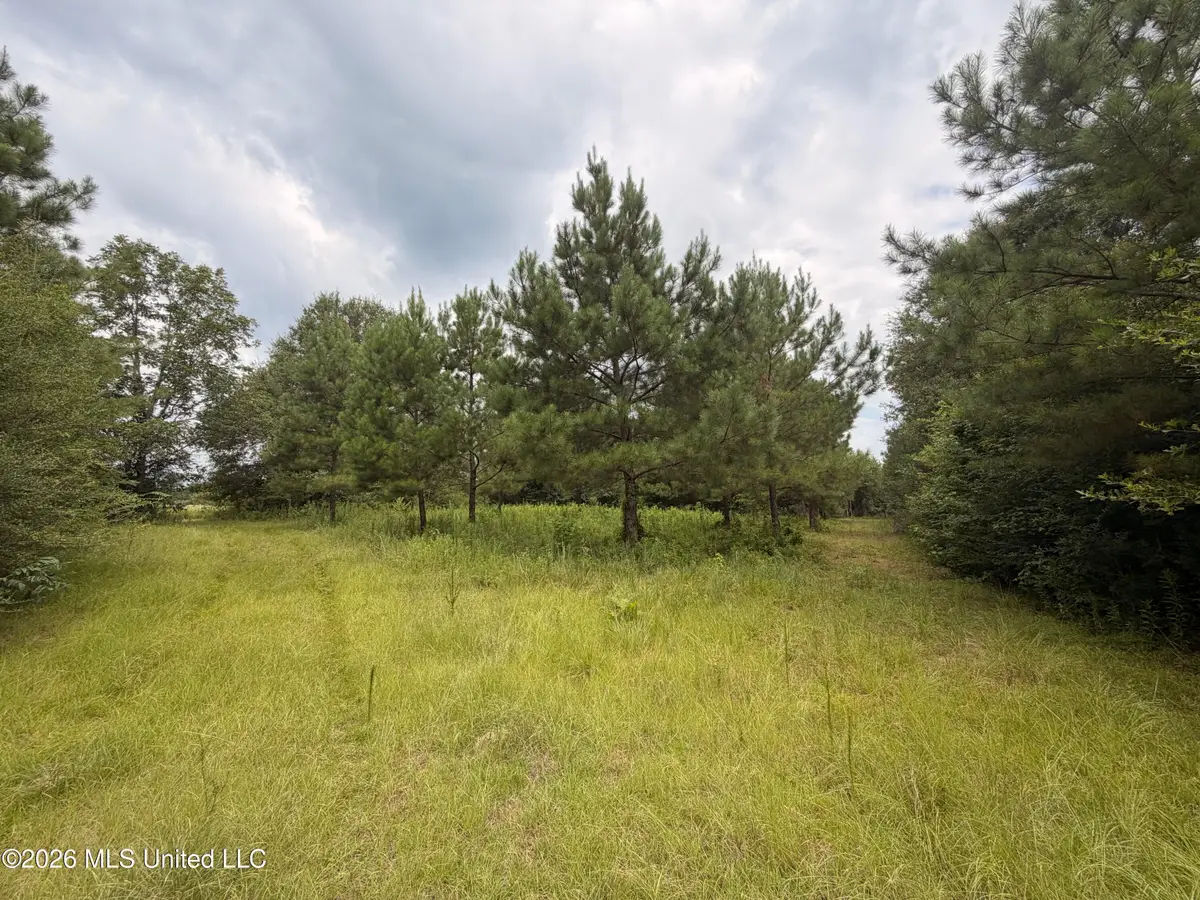 0 Beartown Road, Jayess, MS 39641 - #1