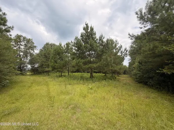 0 Beartown Road, Jayess, MS 39641