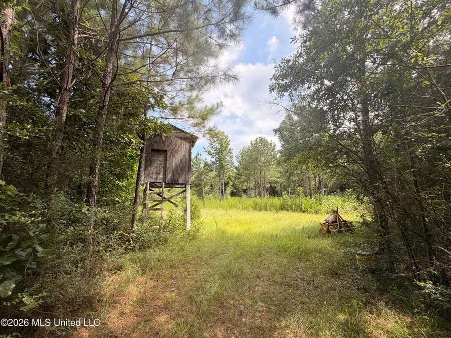0 Beartown Road, Jayess, MS 39641 - #2