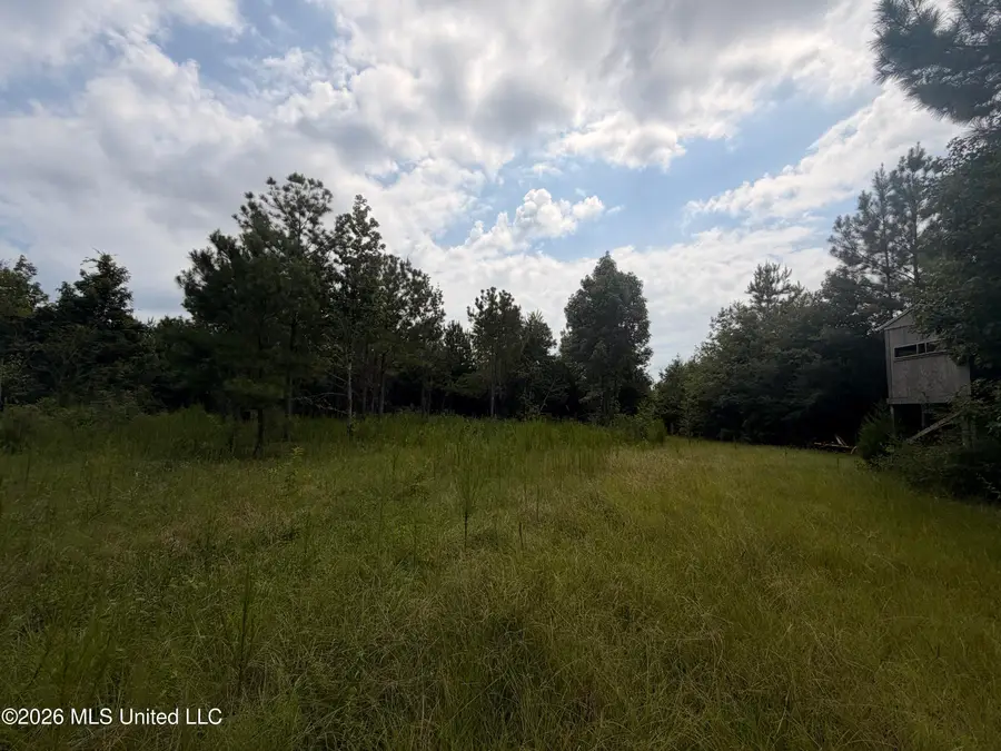 0 Beartown Road, Jayess, MS 39641 - #3