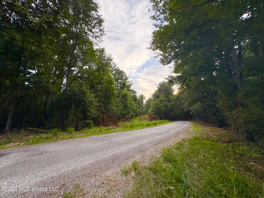 911 Nebo Road, Gloster, MS 39638 - #3