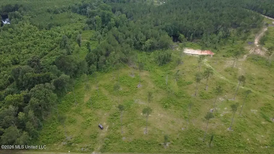 Kirklin Road, Tylertown, MS 39667 - #3