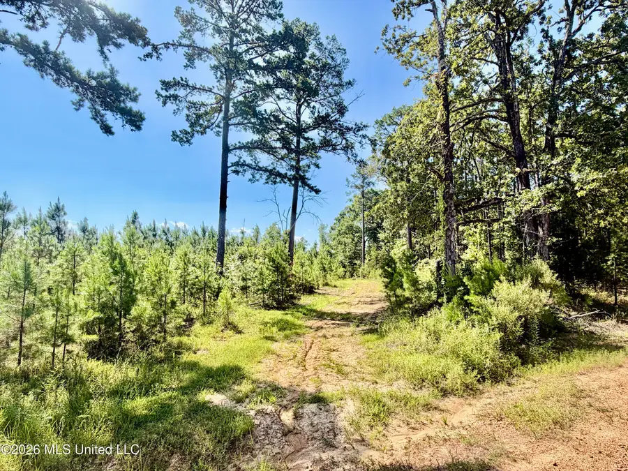 Rounsaville Church Road, Coffeeville, MS 38922 - #2
