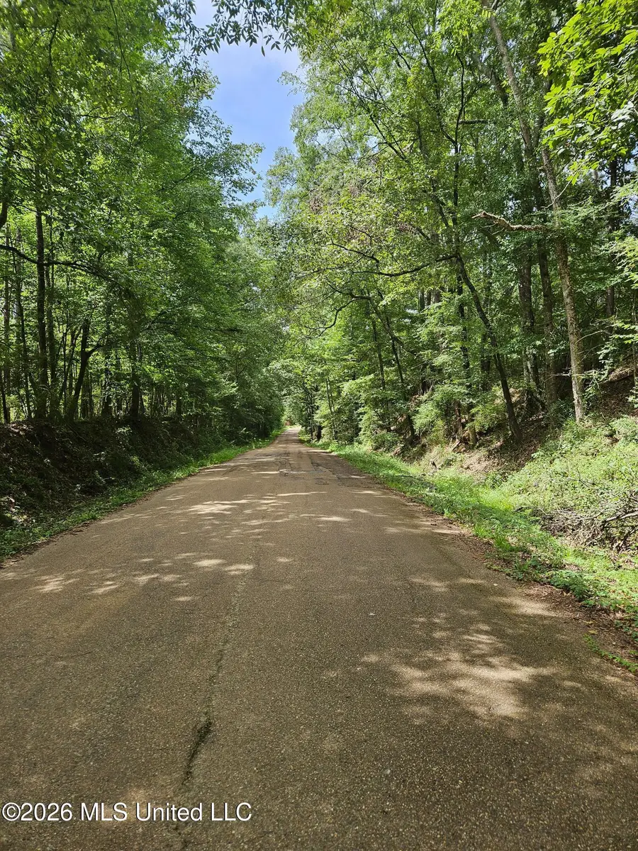Log Cabin Rd Road, Roxie, MS 39661 - #2