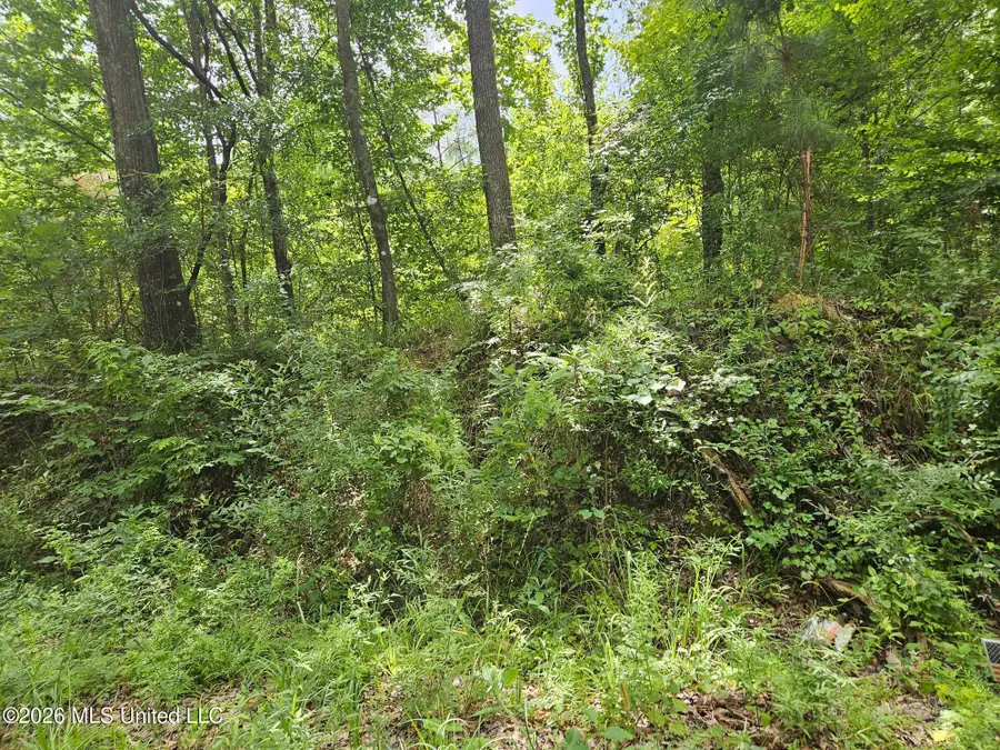 Log Cabin Rd Road, Roxie, MS 39661 - #3