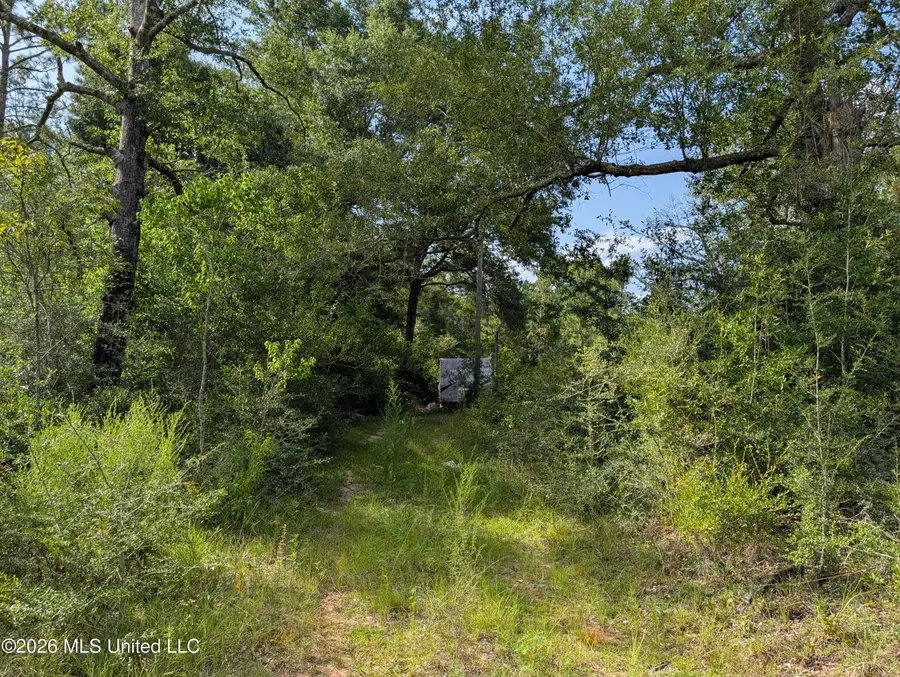 148 Pepper Lane, Lucedale, MS 39452 - #3