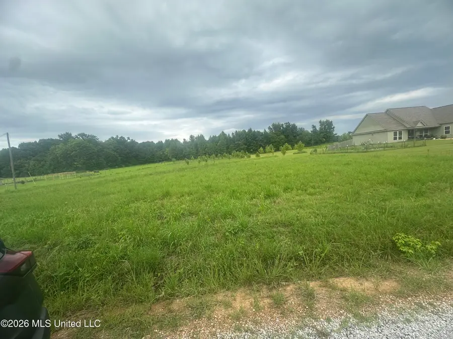78 Boone Road, Holly Springs, MS 38635 - #3