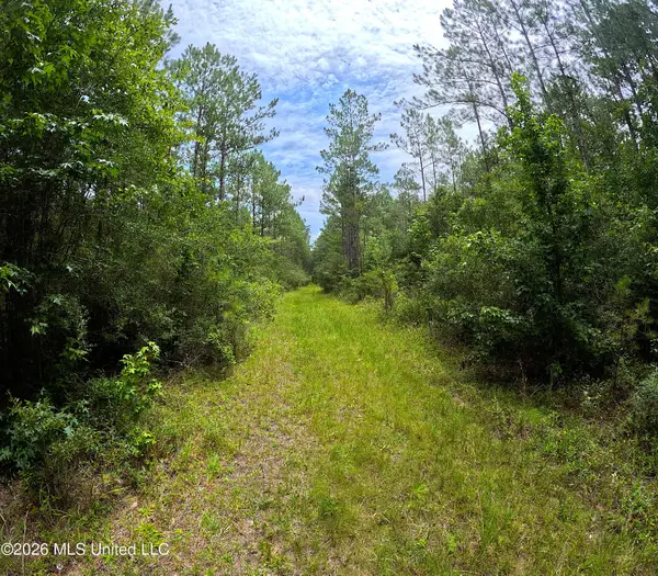 N Sones Chapel Road, Carriere, MS 39426