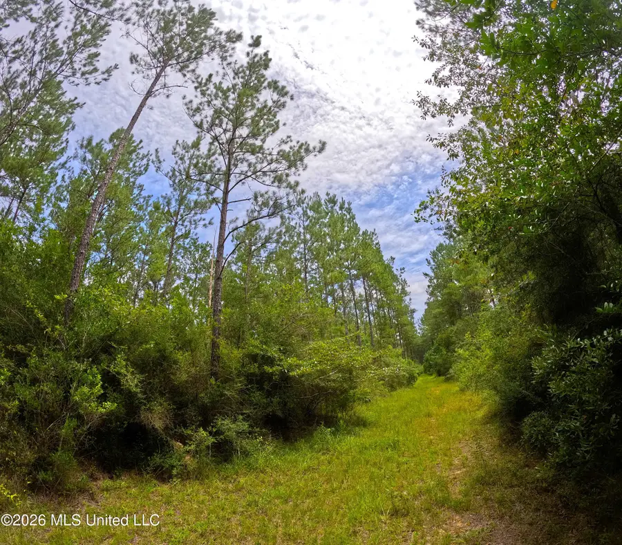 N Sones Chapel Road, Carriere, MS 39426 - #3