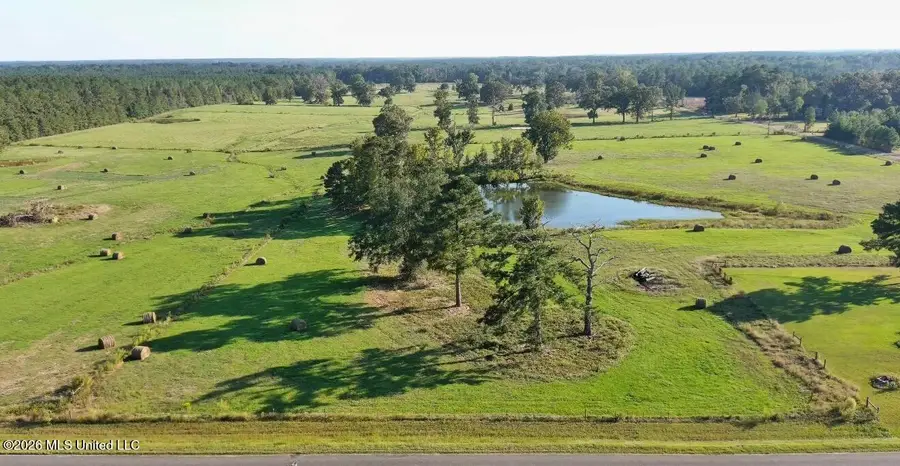 Bogue Chitto Road, Smithdale, MS 39664 - #2