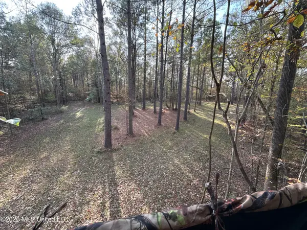 23 Pheasant Road, Roxie, MS 39661