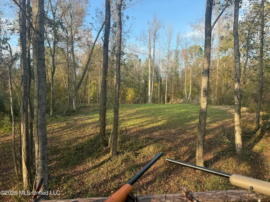 23 Pheasant Road, Roxie, MS 39661 - #2