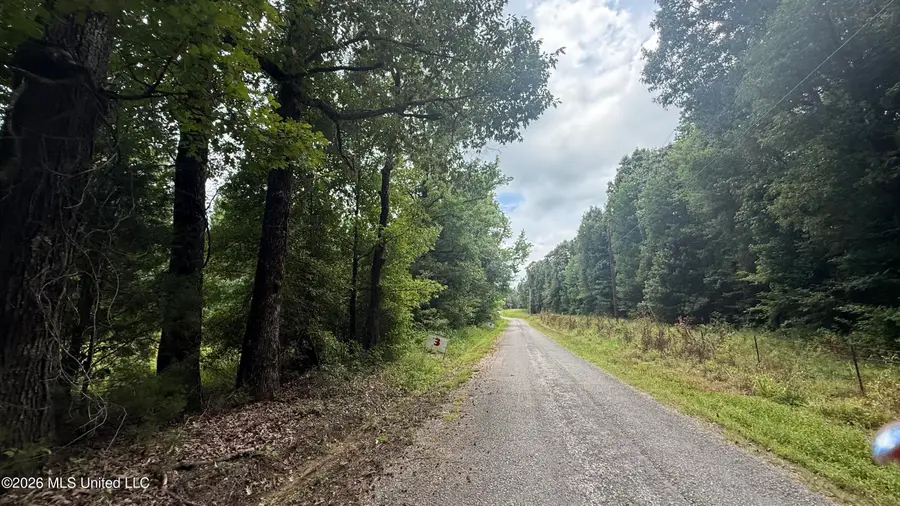 Matthews Drive, Byhalia, MS 38611 - #3