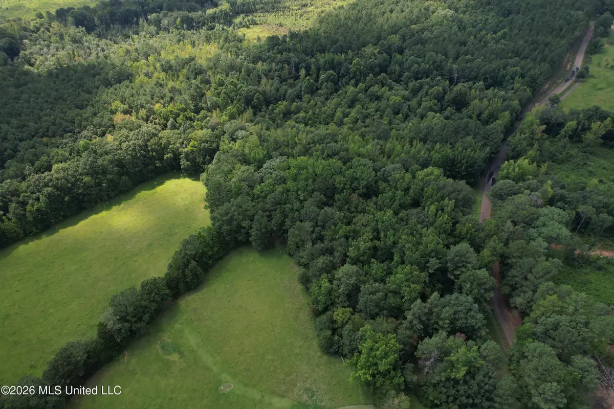County Road 2251, Kosciusko, MS 39090 - #1