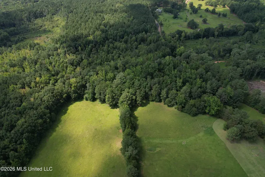 County Road 2251, Kosciusko, MS 39090 - #3