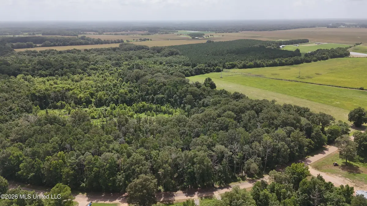 N Sandhill Road, Lena, MS 39094 - #1