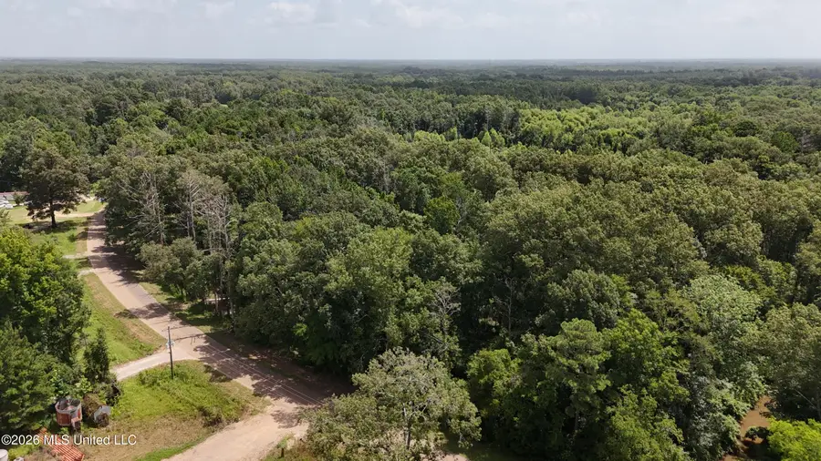 N Sandhill Road, Lena, MS 39094 - #3