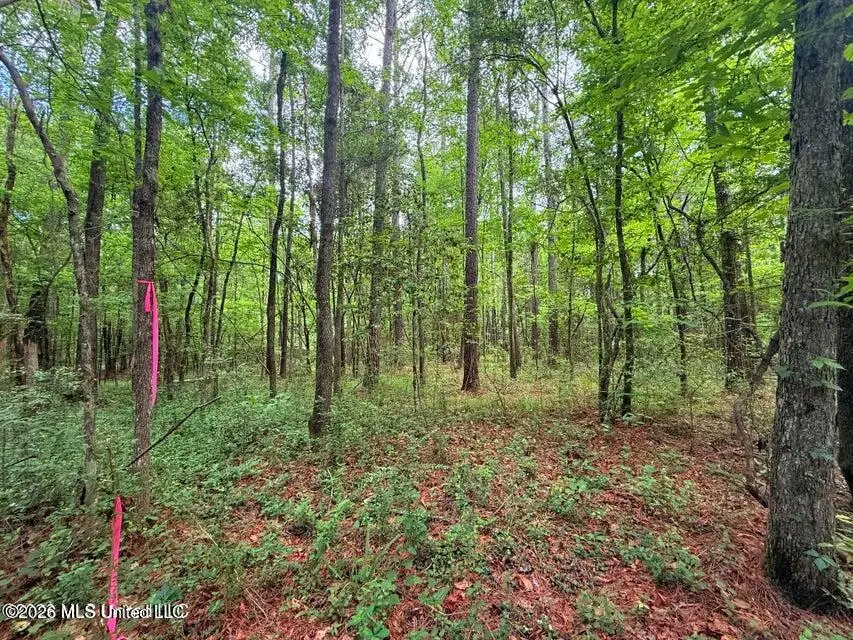 Us 98 Highway, Smithdale, MS 39664 - #1