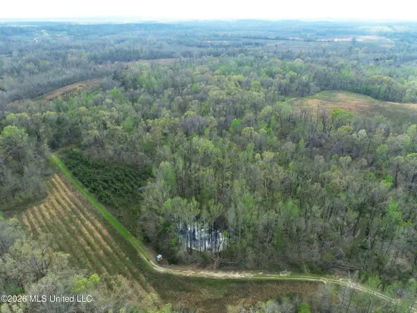 Chinqupin Road, Lexington, MS 39095