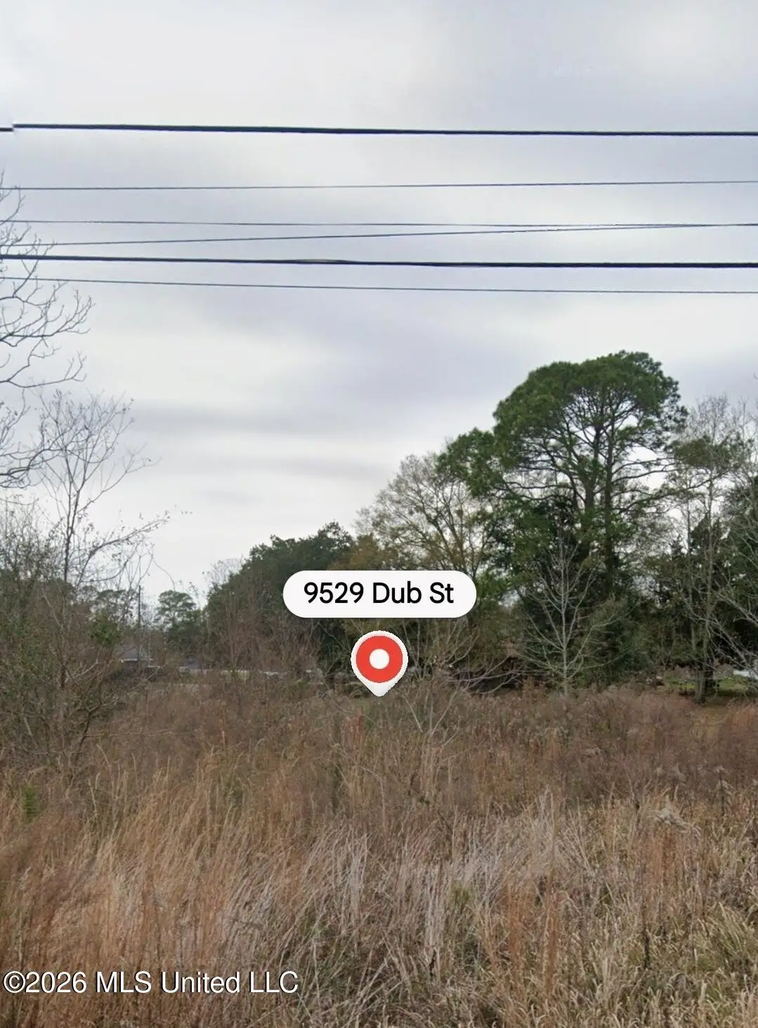 9529 Dub, Vancleave, MS 39565 - #1