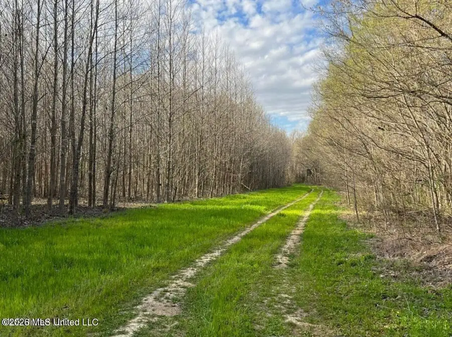 Fogg Road, Hernando, MS 38632 - #3