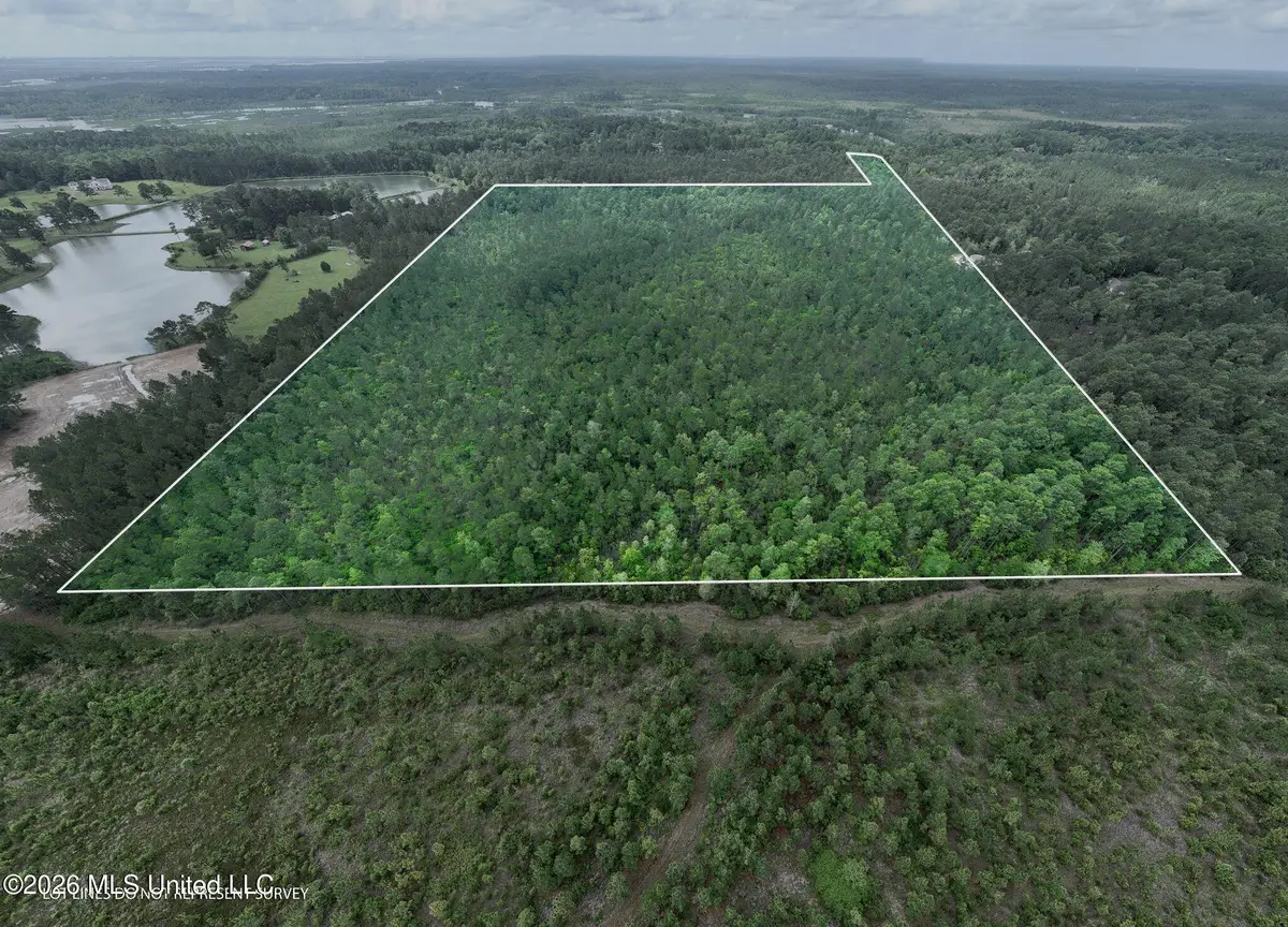 68 Acres Blue Wood Drive, Vancleave, MS 39565 - #1