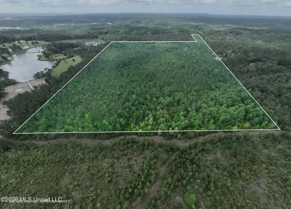68 Acres Blue Wood Drive, Vancleave, MS 39565