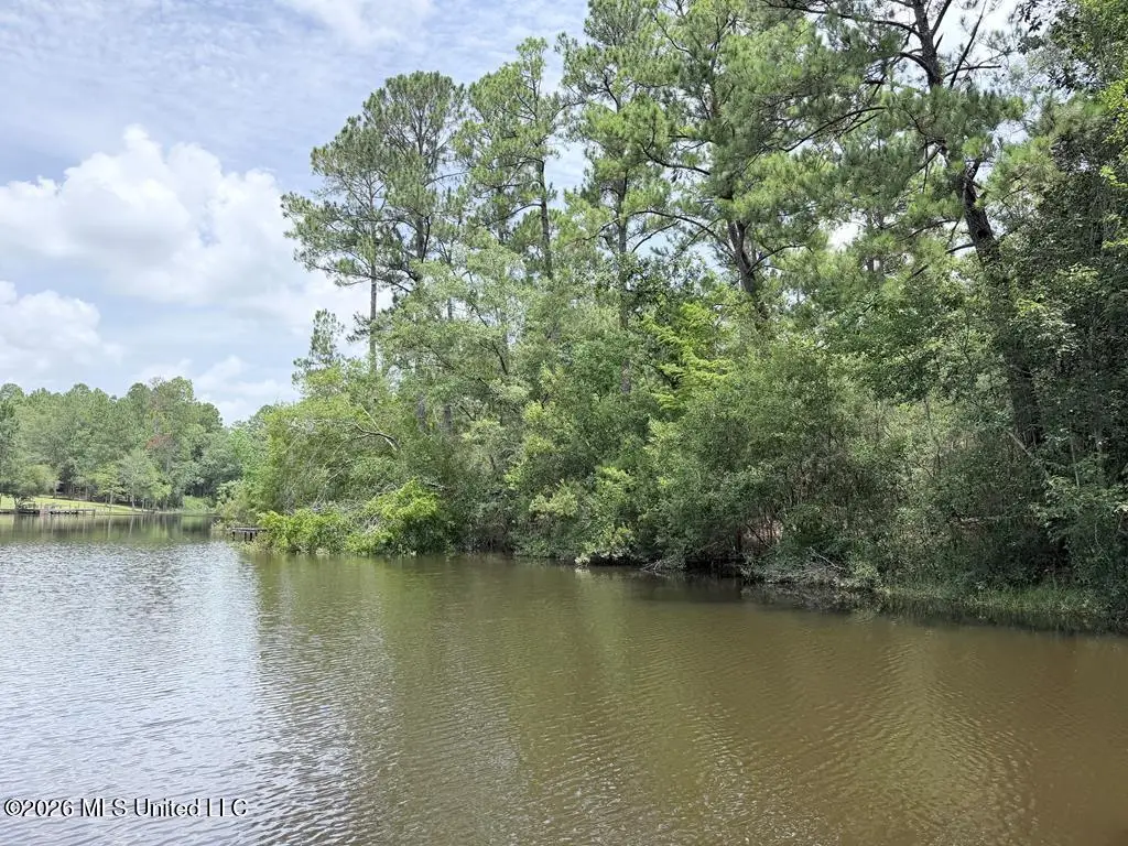 Flurry Drive, Perkinston, MS 39573 - #1
