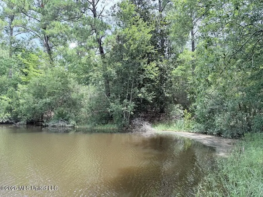 Flurry Drive, Perkinston, MS 39573 - #2
